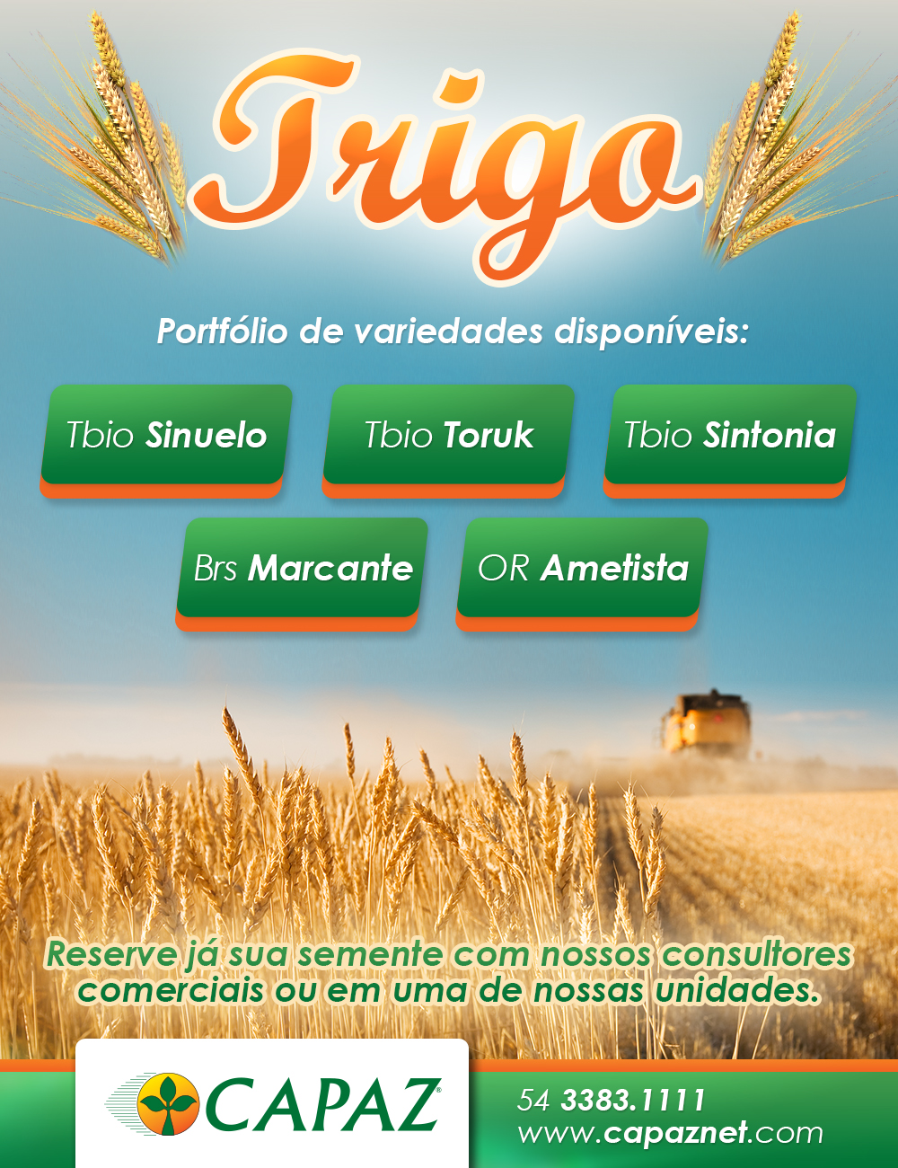 banner campanha trigo