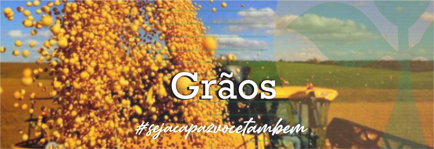 Grãos