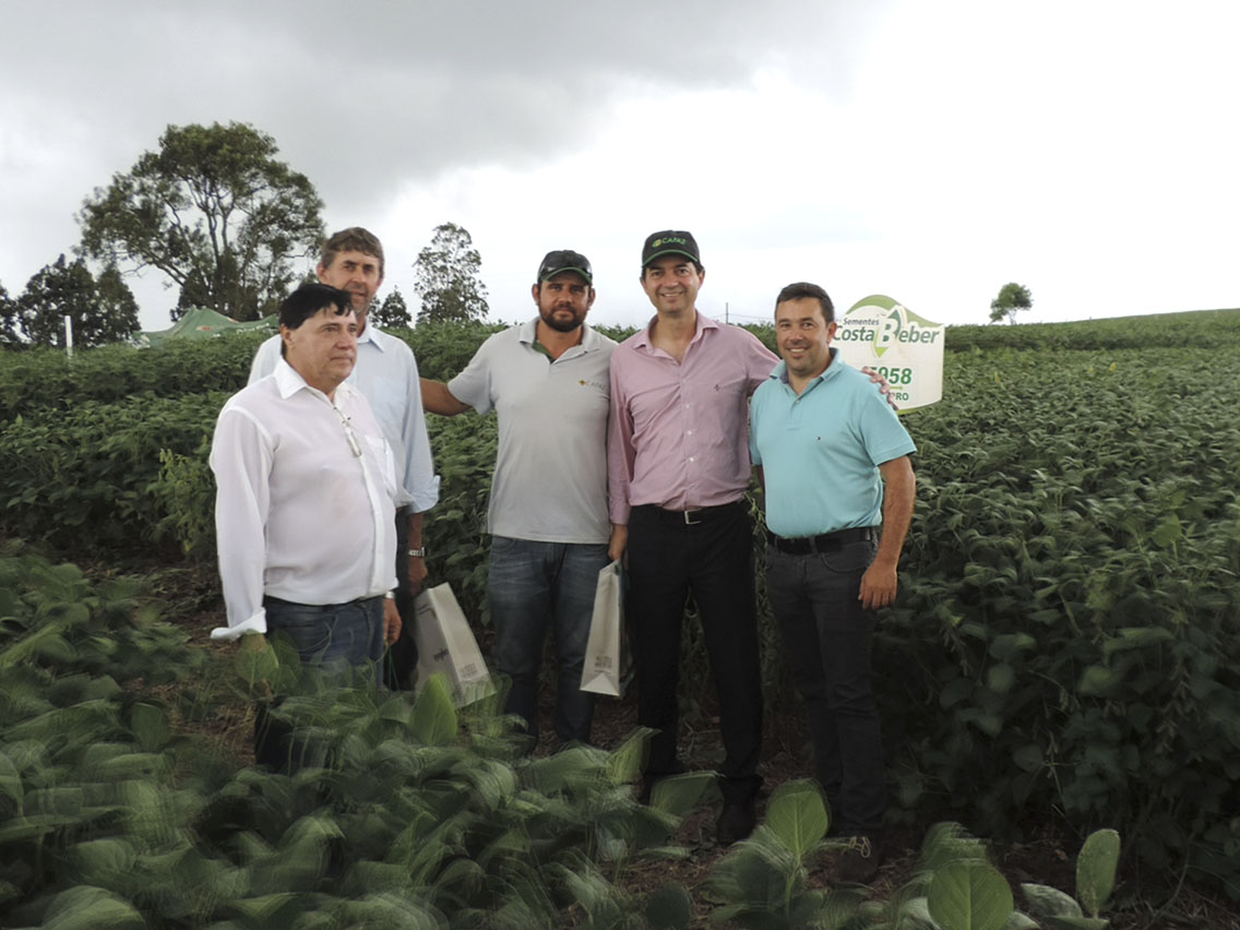 tarde campo 2017